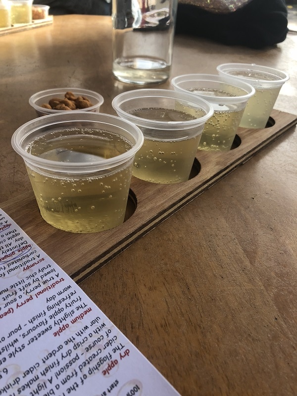 Elephant Rock cider paddle