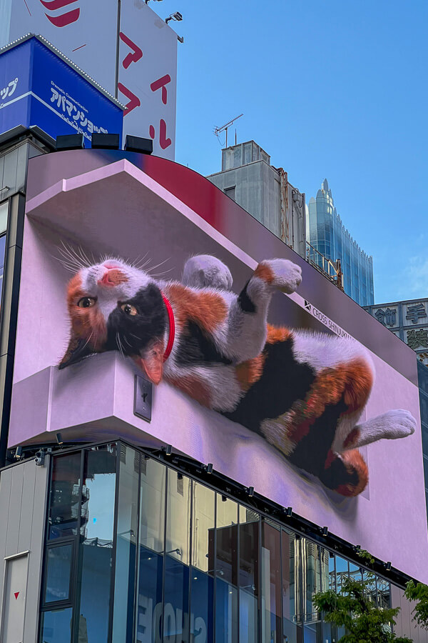 Realistic 3D display in Shinjuku