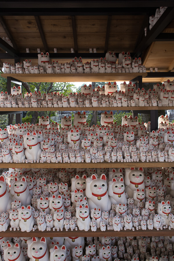 Maneki Neko lucky cat figurines in Gotokuji Temple 